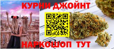 крисы Краснознаменск