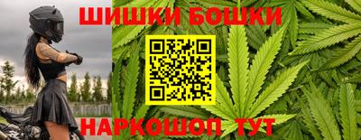 spice Кунгур