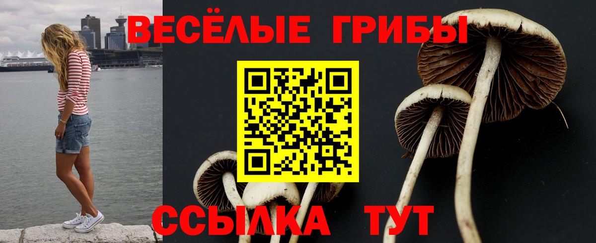 Усинск  Галлюциногенные грибы Magic Shrooms  Вход с VPN  Галлюциногенные грибы ЛСД 